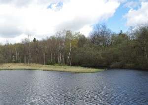 See am Roten Moor in der Rhoen